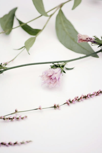 Nuda's Skincare Revolution: Find Your Perfect Balance