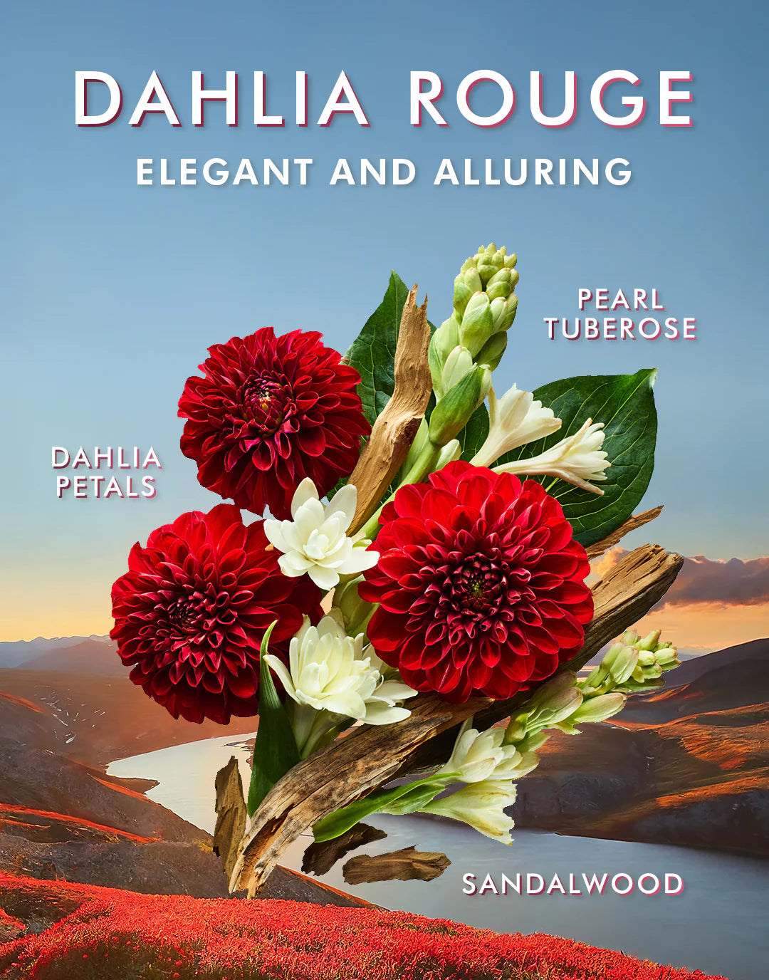 Dahlia Rouge Body Lotion