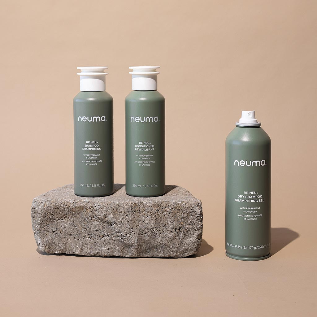 Re Neu Dry Shampoo bottles on a stone, featuring fast-absorbing, talc-free formula for clean, voluminous hair.