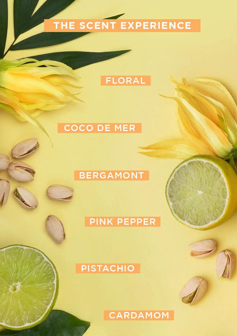 Colorful flat lay featuring citrus and floral elements with text showcasing a scent experience with ingredients like bergamot and pistachio.