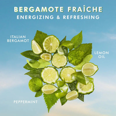 Bergamote Fraiche Hand Cream
