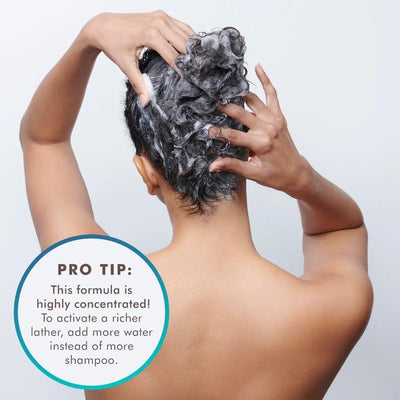 Person applying concentrated hydrating shampoo to curly hair, with a pro tip for better lather application.