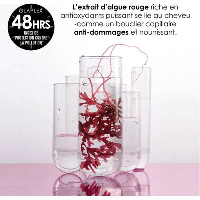 Red algae extract in clear vials, showcasing potent antioxidants for hair damage protection and nourishment.