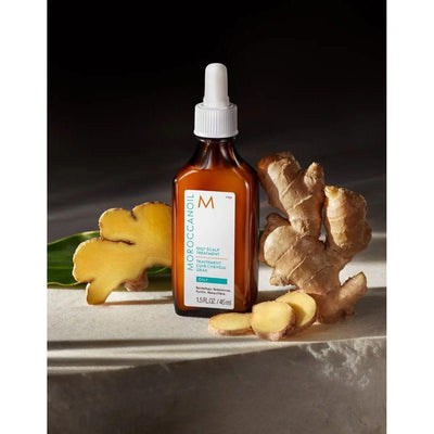 Moroccanoil Oily Scalp Treatment bottle with ginger root, designed to reduce excess oil and promote a clean scalp.