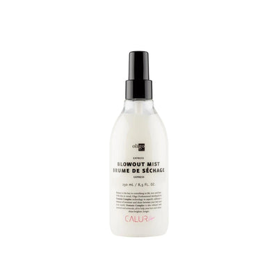 Express Blowout Mist spray bottle for quick drying and heat protection, vegan and sulfate-free hair care product.