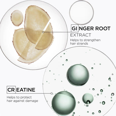 Ginger root extract and creatine visual for Genesis Homme shampoo, showcasing benefits for stronger, healthier hair.