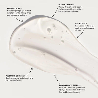 Night Lip Serum ingredients showcasing organic plump, plant ceramides, beet extract, vegetable collagen, and pomegranate sterols.