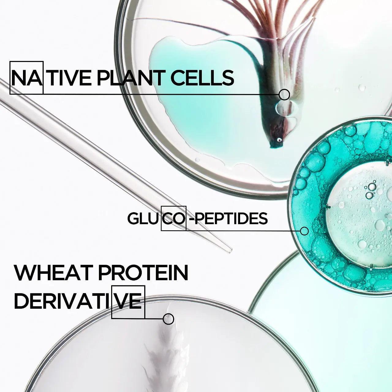 Image of hair care ingredients showcasing Native Plant Cells, Gluco-Peptides, and Wheat Protein Derivative in petri dishes.